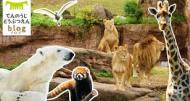 天王寺動物園 可愛い動物がいっぱい