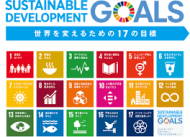 SDGs 成功する