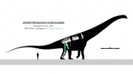アルゼンチノサウルス10体
