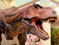 ティラノサウルスの表皮 ウロコで覆われている
