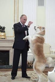 プーチンへ贈りたいもの 秋田犬