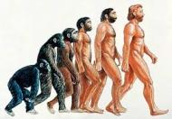 人間 進化する生物
