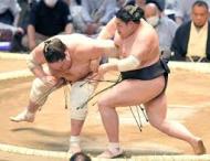 相撲 格闘技