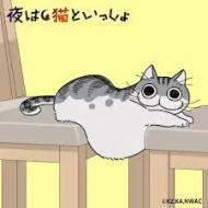 アニメ『夜は猫といっしょ』 おもしろい