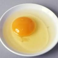 卵 生卵