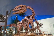 福井県の恐竜化石