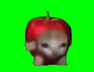 リンゴ猫