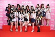 これから 今まで通り48アイドル・坂道グループが活躍する