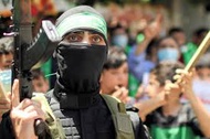 ハマス 好き